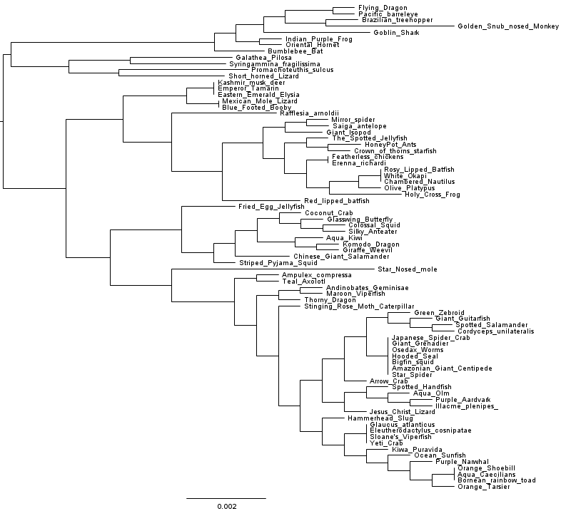 A bacterial genome phylogeny inferred with FastTree 2.1.7