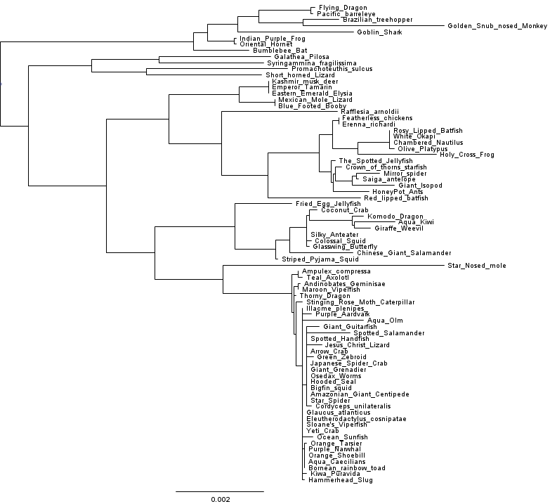 A phylogeny inferred with double precision FastTree on the same alignment